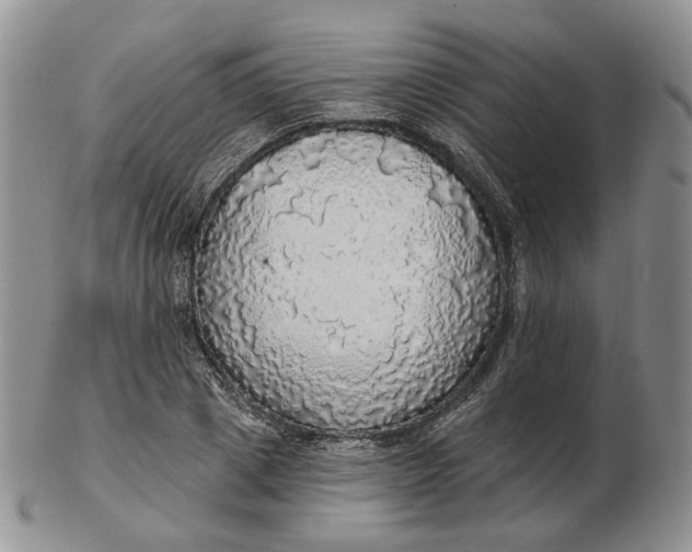 X0000102770833200809021028