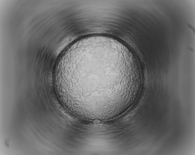 X0000102770834200809021028