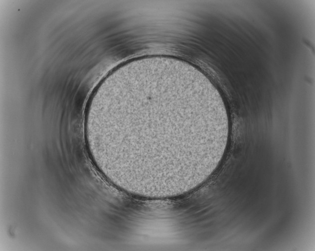 X0000102770836200809021028