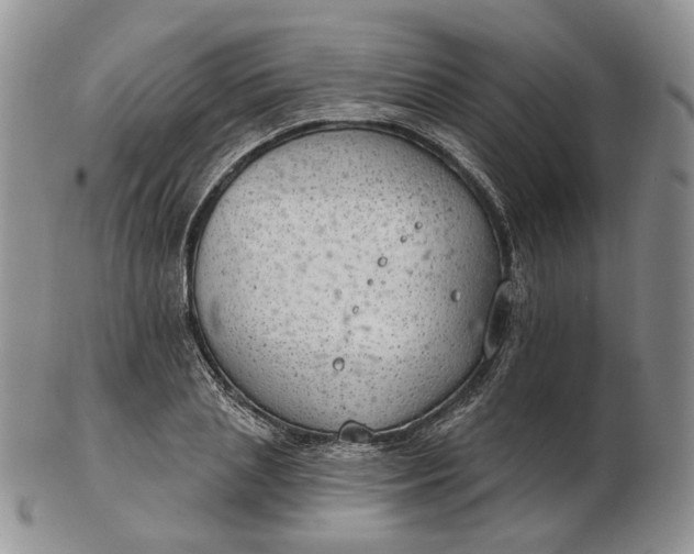 X0000102770837200809021028