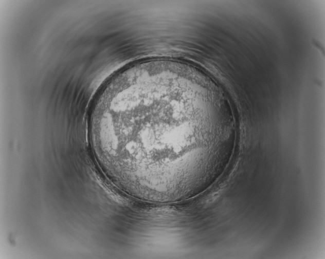 X0000102770838200809021028