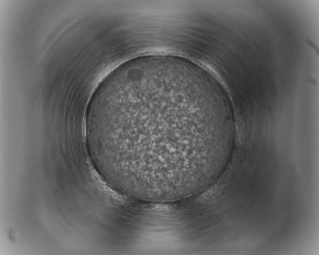 X0000102770839200809021028