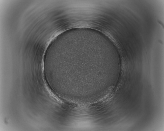 X0000102770840200809021028