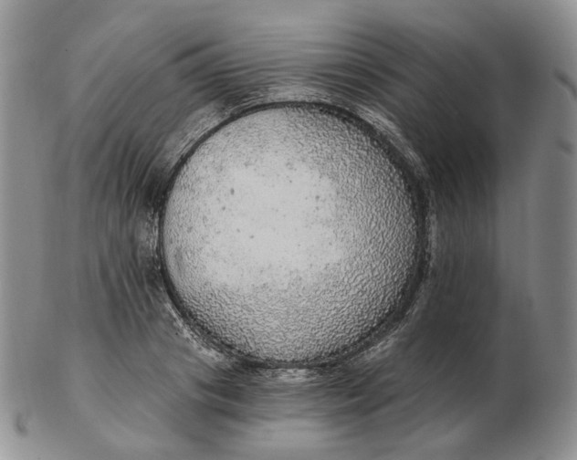 X0000102770841200809021028