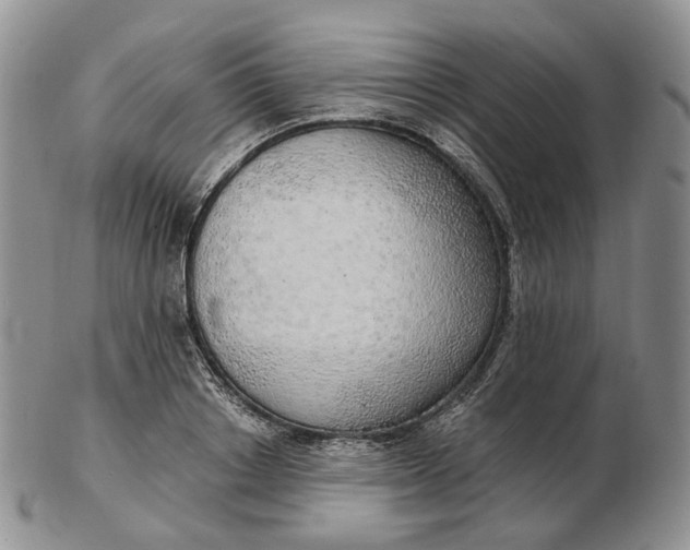 X0000102770842200809021028