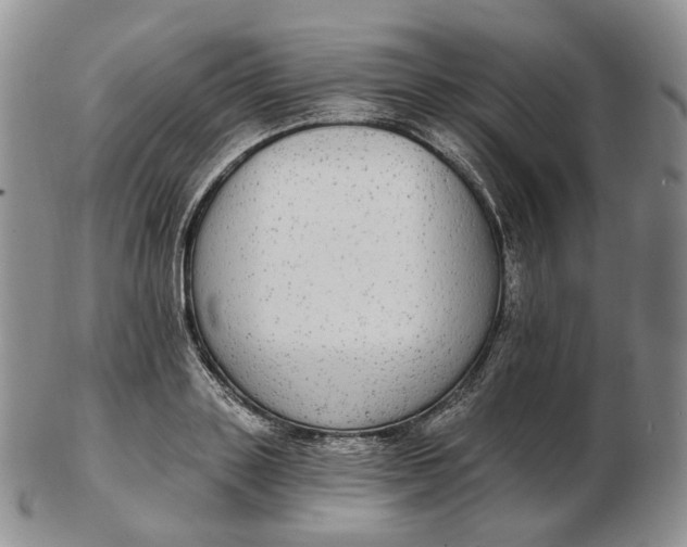 X0000102770843200809021028