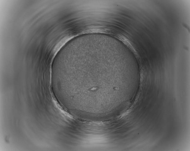 X0000102770844200809021028