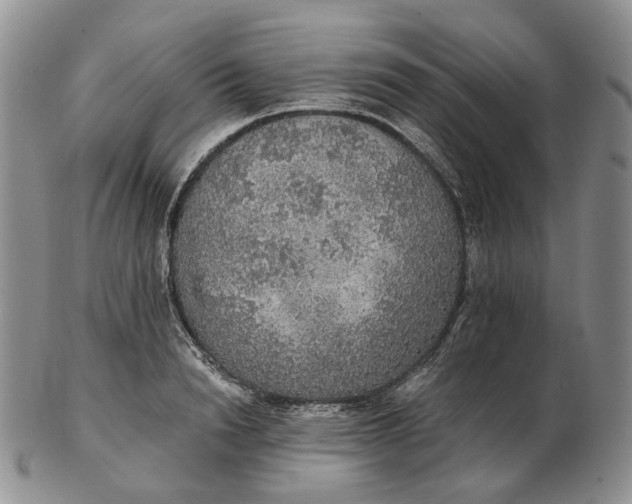 X0000102770846200809021028