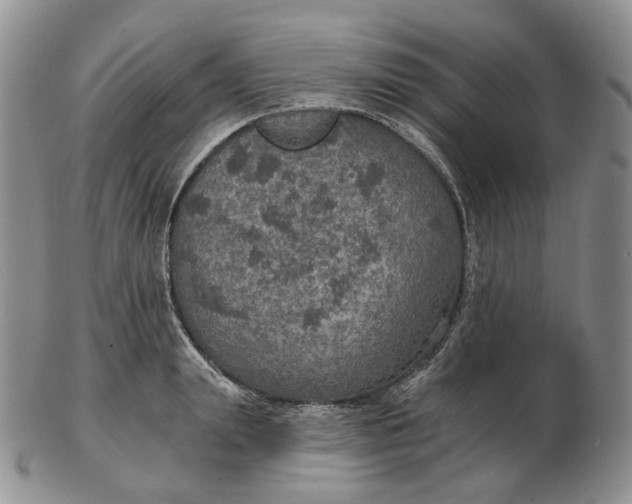 X0000102770847200809021028