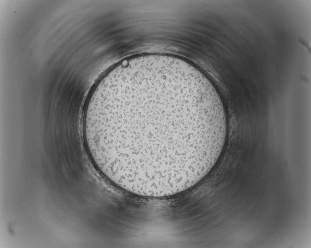 X0000102770848200809021028