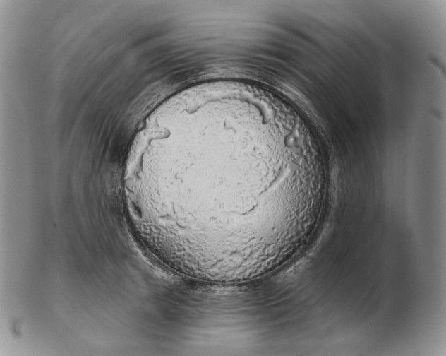 X0000102770849200809021028