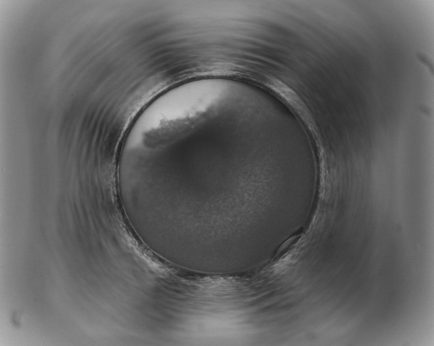 X0000102770850200809021028