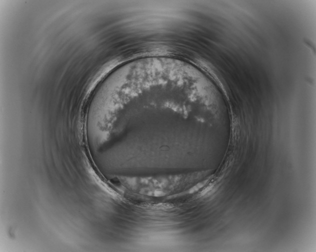 X0000102770851200809021028