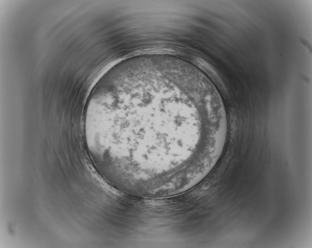 X0000102770852200809021028