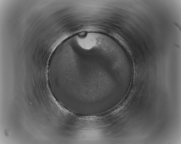 X0000102770853200809021028