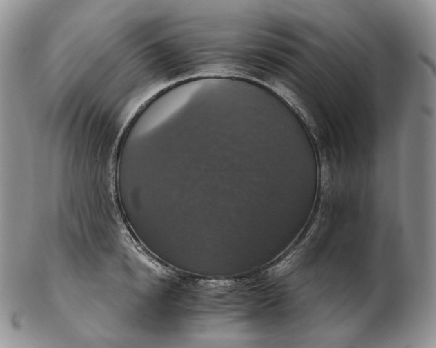 X0000102770854200809021028