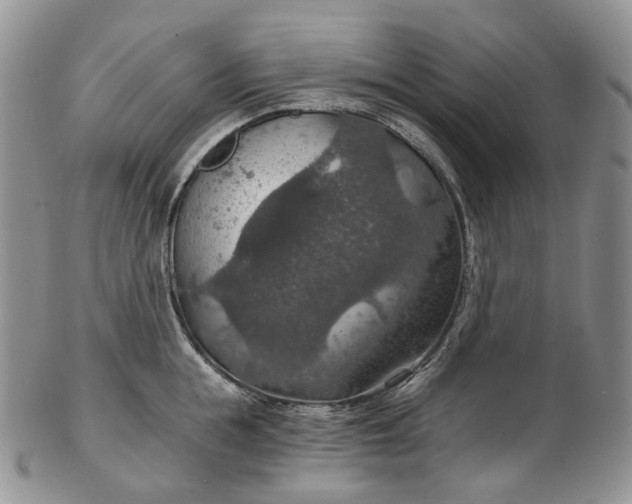 X0000102770855200809021028