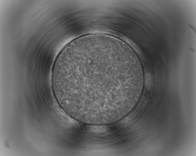 X0000102770856200809021028