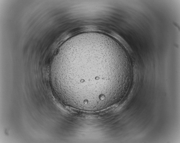 X0000102770857200809021028