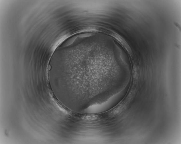 X0000102770858200809021028