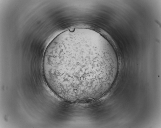 X0000102770860200809021028