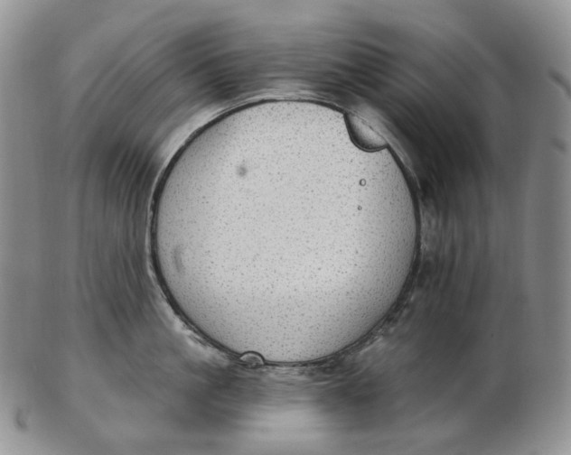 X0000102770861200809021028