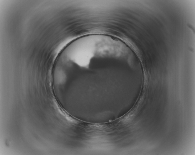 X0000102770862200809021028