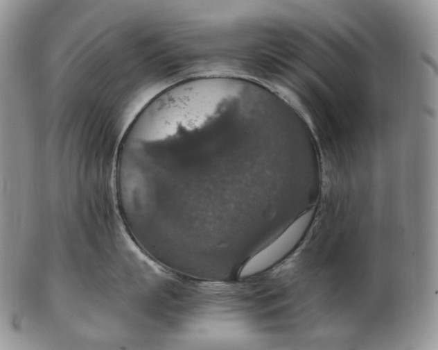 X0000102770863200809021028