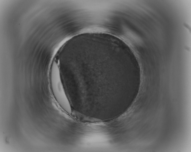 X0000102770864200809021028