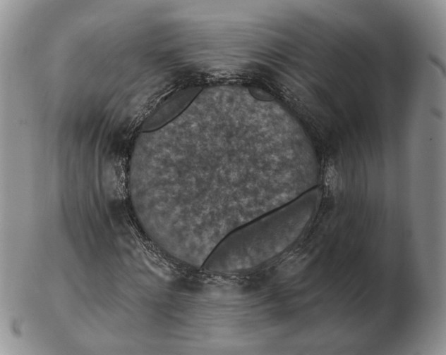 X0000102770868200809021027