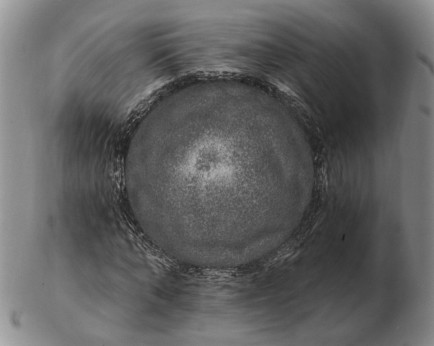 X0000102770870200809021027