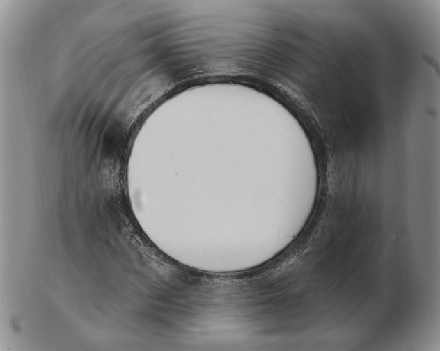 X0000102770873200809021027