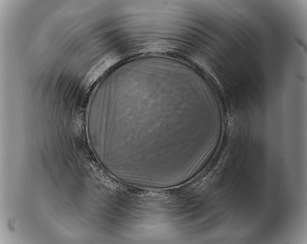 X0000102770874200809021027