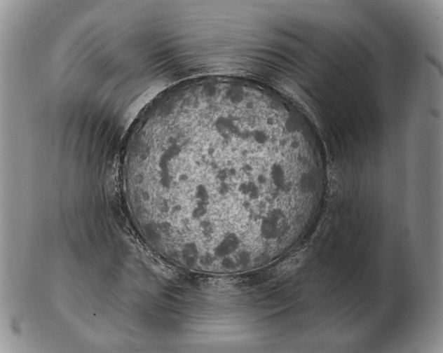 X0000102770875200809021027