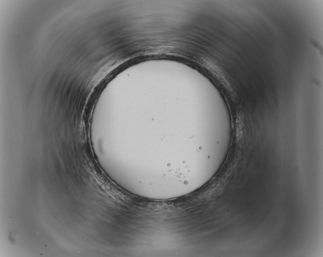 X0000102770876200809021027