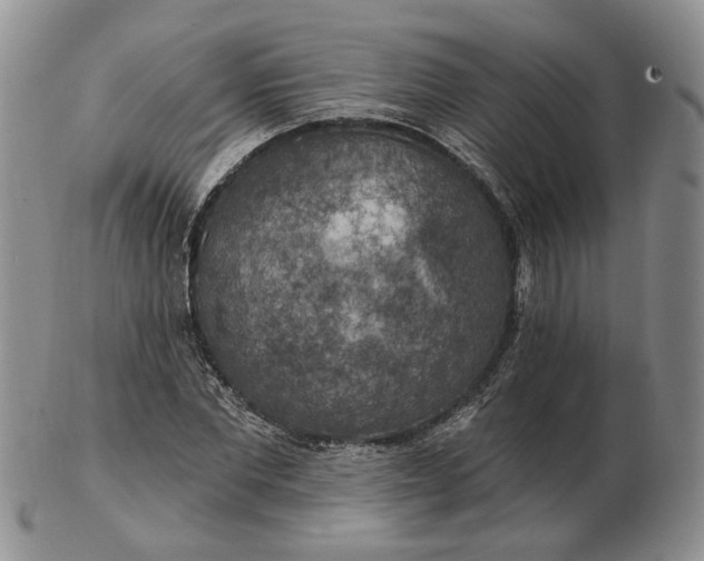 X0000102770877200809021027