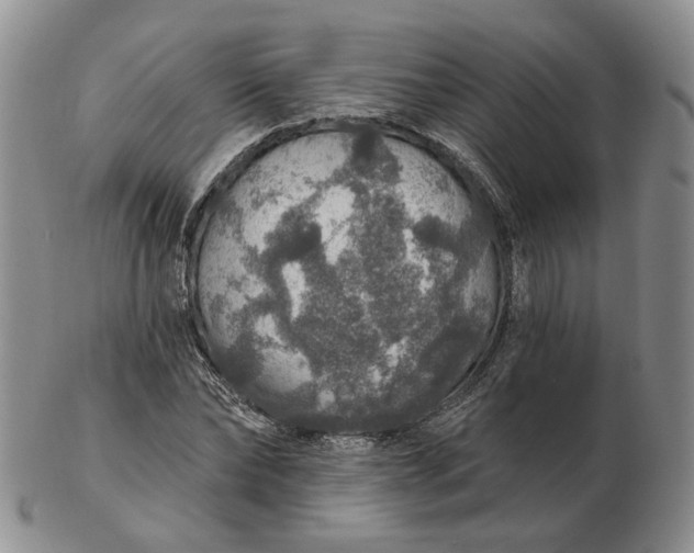 X0000102770878200809021027