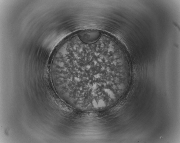 X0000102770879200809021027