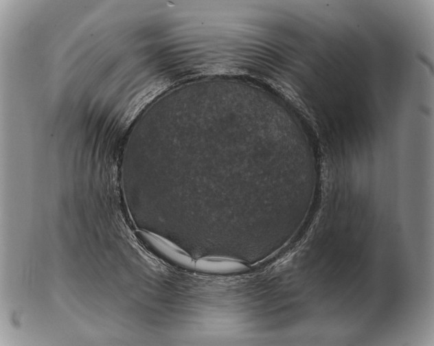 X0000102770881200809021027