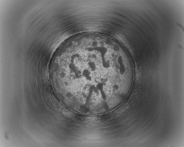 X0000102770883200809021027