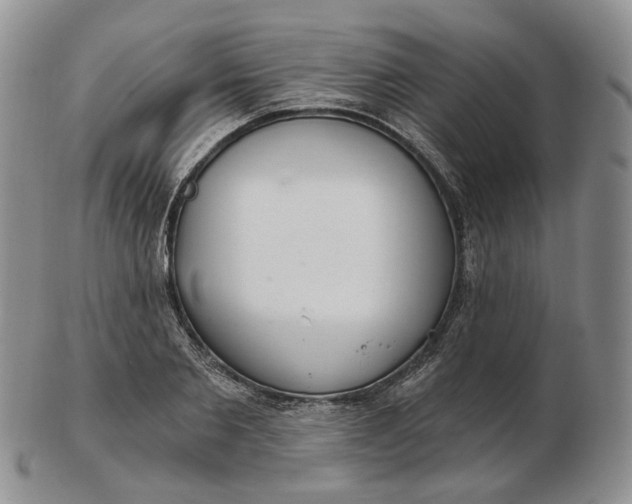 X0000102770885200809021027