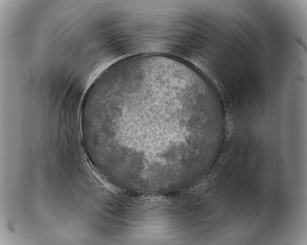 X0000102770886200809021027