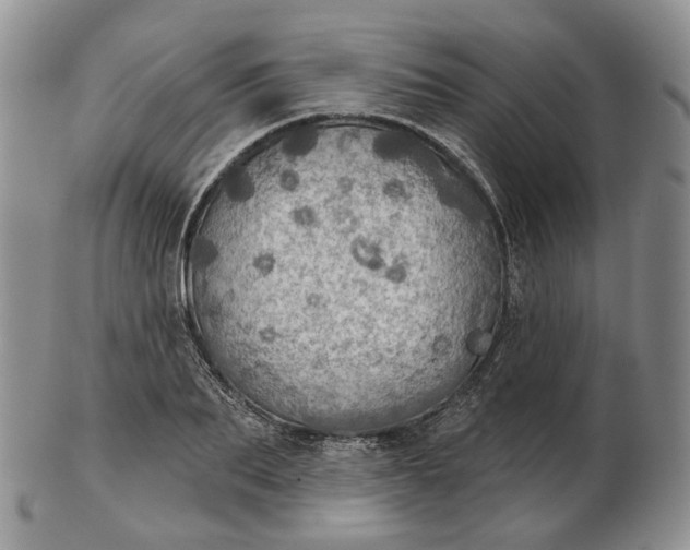 X0000102770887200809021027