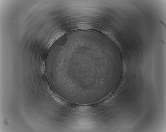 X0000102770889200809021027