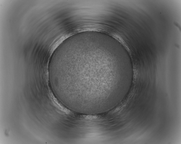 X0000102770890200809021027