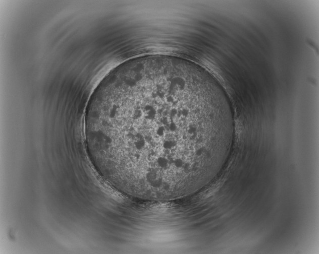 X0000102770891200809021027