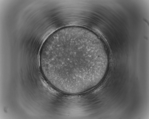 X0000102770892200809021027