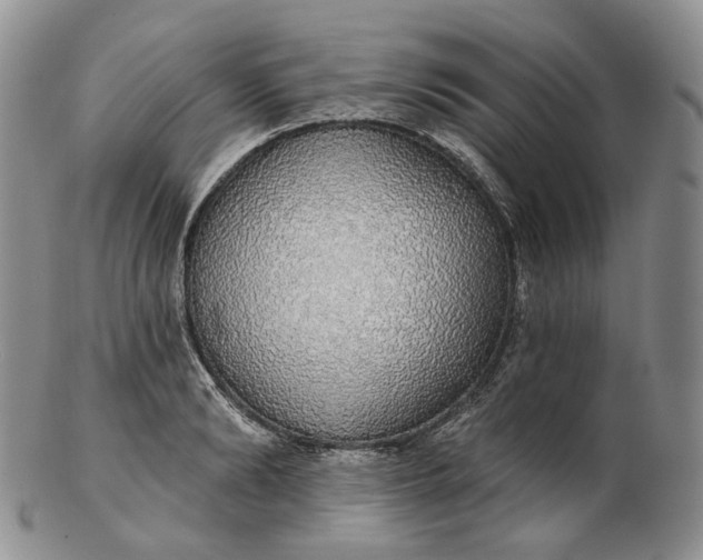 X0000102770894200809021027