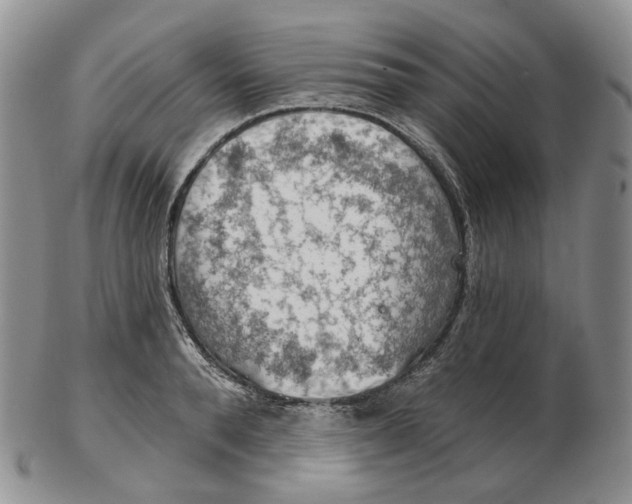 X0000102770896200809021027