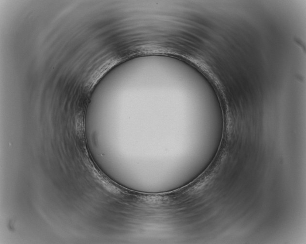 X0000102770897200809021027